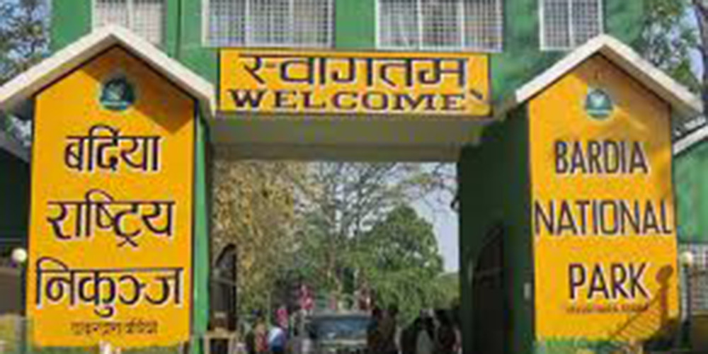 बर्दिया राष्ट्रिय निकुञ्जमा पर्यटक आगमन बढ्यो